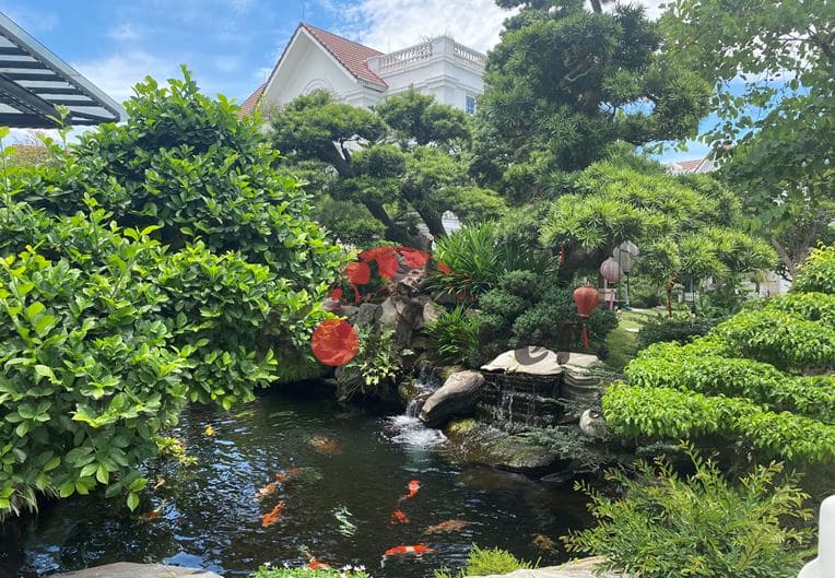 Bộ Sưu Tập Mẫu Hồ Cá Sân Vườn Theo Phong Cách Tropical 5 Hồ cá tropical hiện đại