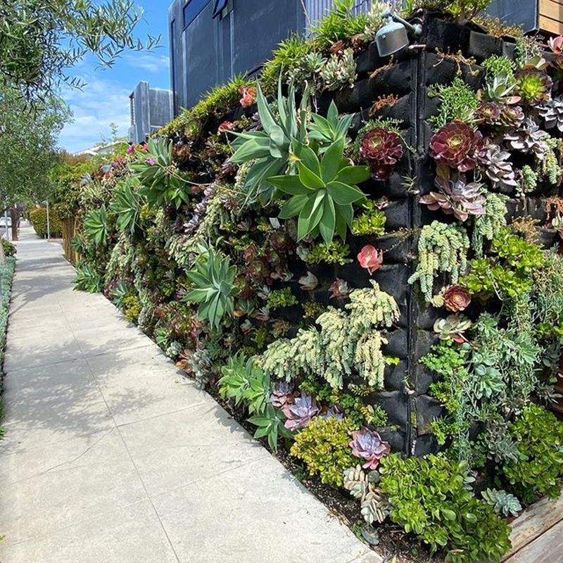 2c6293efc00e915fed6d3d4e6841069c