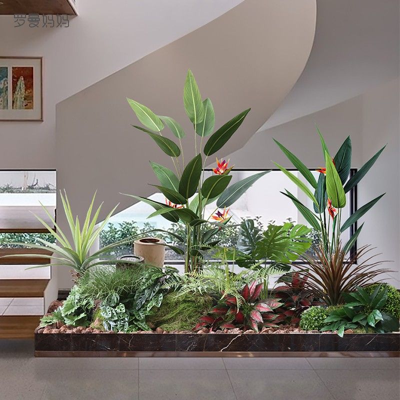 Cây nhiệt đới dễ chăm sóc trong nhà