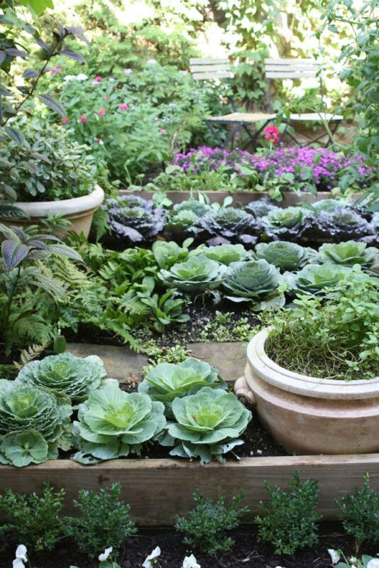 Edible Landscape: Xu Hướng Thiết Kế Cảnh Quan Ăn Được – Sự Giao Thoa Giữa Thẩm Mỹ Và Công Năng 2 33fd3413130d6e69bc3c3b8930d19f8c