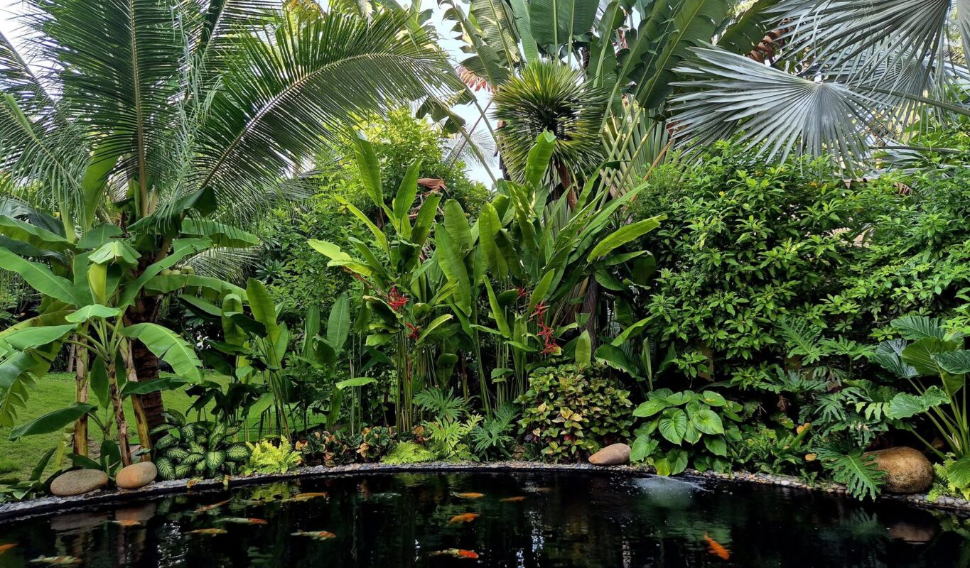 Hardscape - Cảnh quan đứng