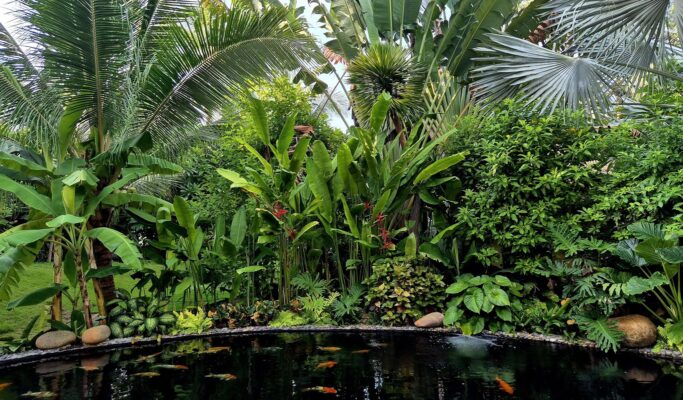 Hardscape - Cảnh quan đứng