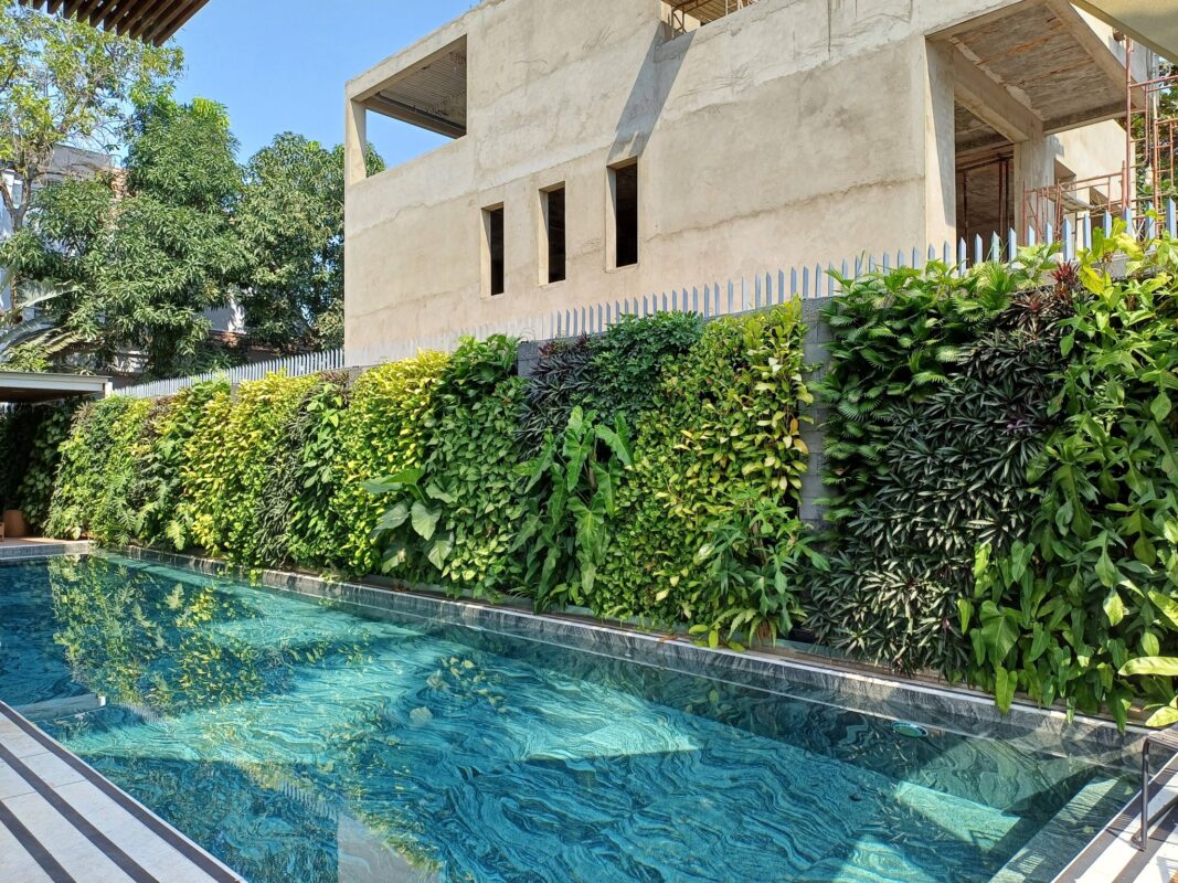 645771692 3236332769881942 349306480270167651 n