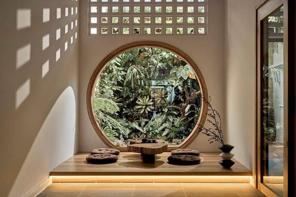 648249323 3238567856325100 4032223949585283080 n