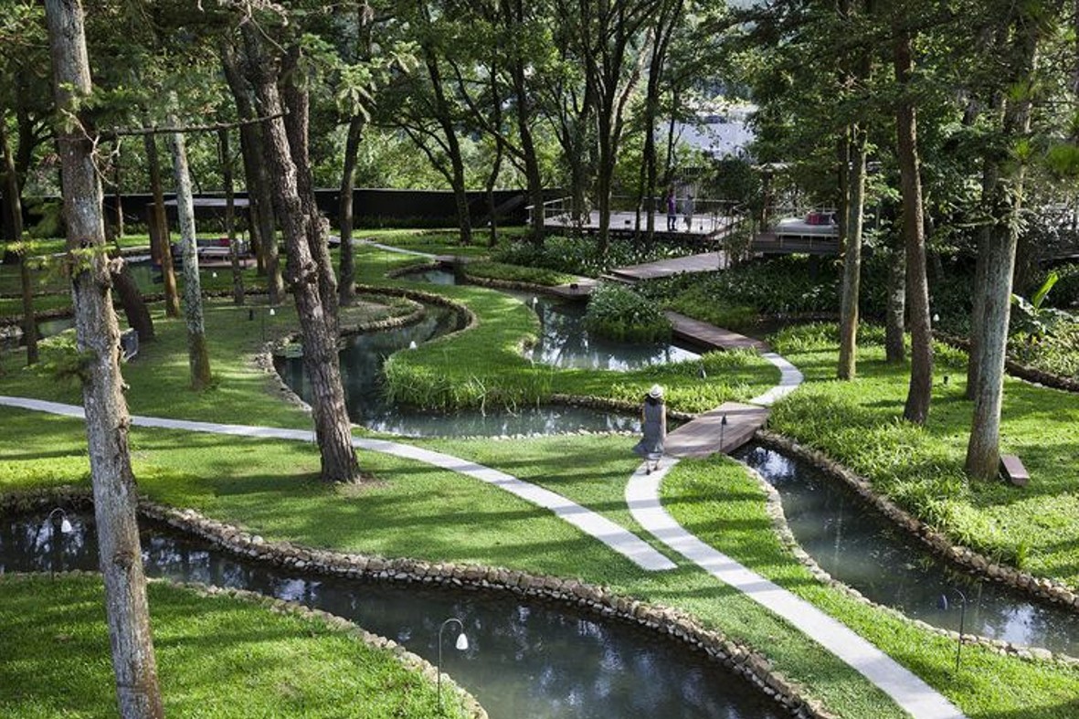 Canh quan chua lanh 8