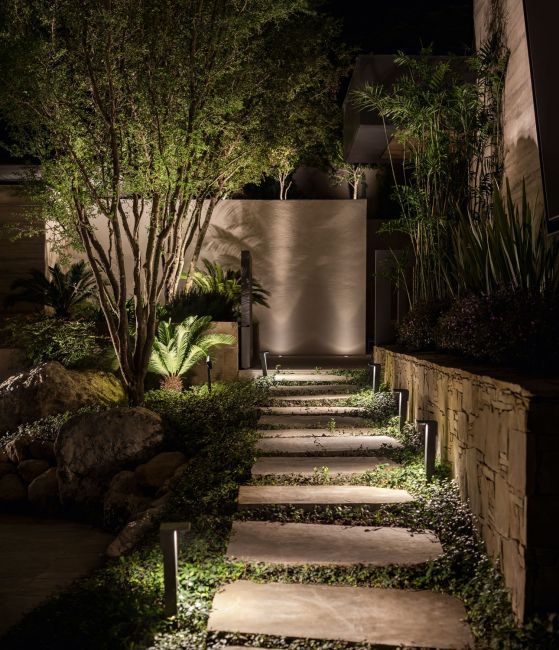 Ánh sáng sân vườn lễ hội dẫn lối bước chân qua vườn đêm