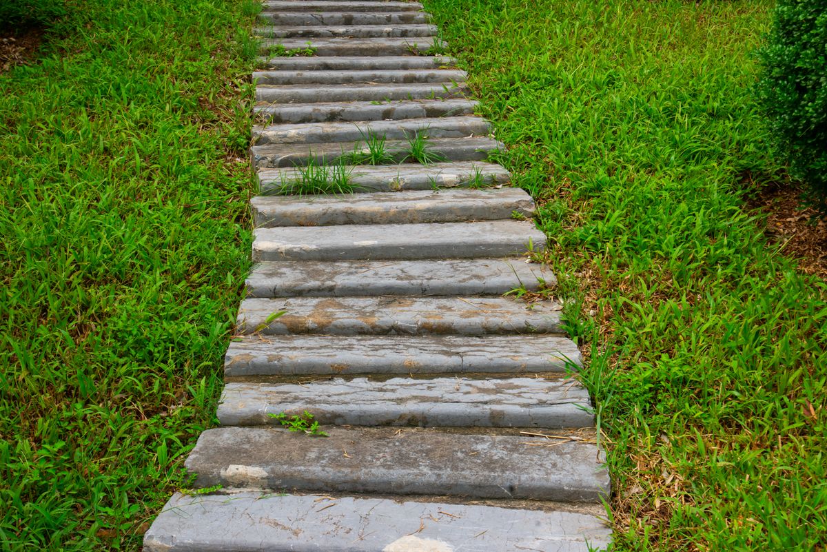 Hardscape Và Softscape Là Gì? 2 Thành Phần Của Mọi Khu Vườn 2 Bậc đá xếp giữa thảm cỏ xanh