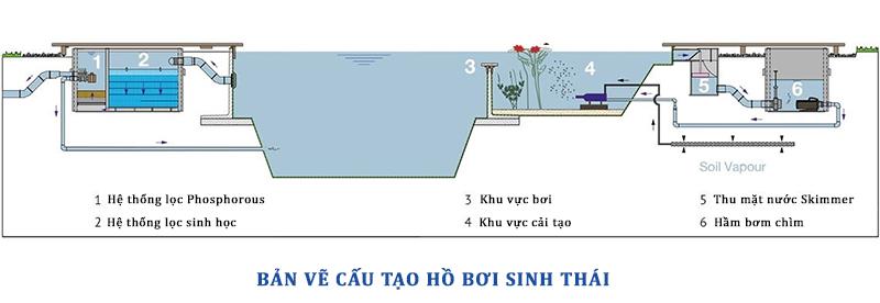 ban ve cau tao be boi sinh thai