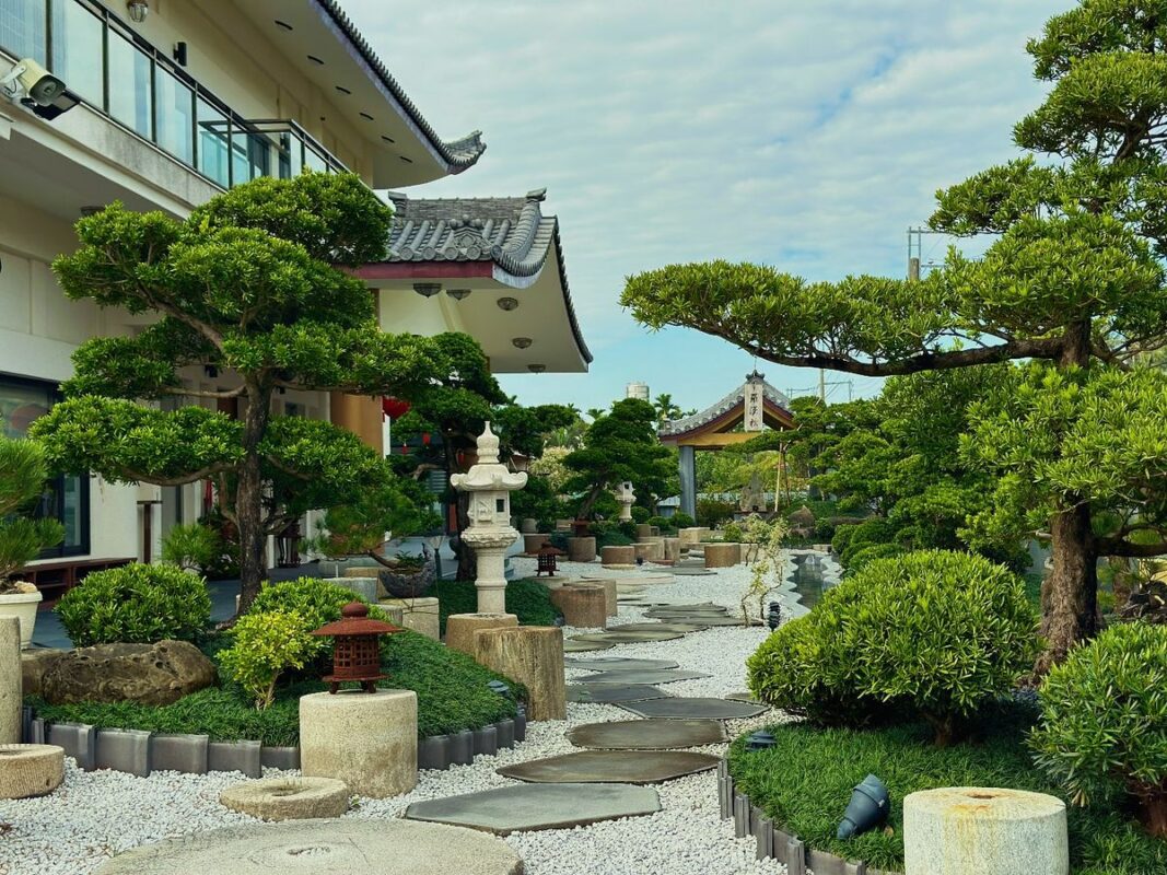 bonsai kieng san vuon