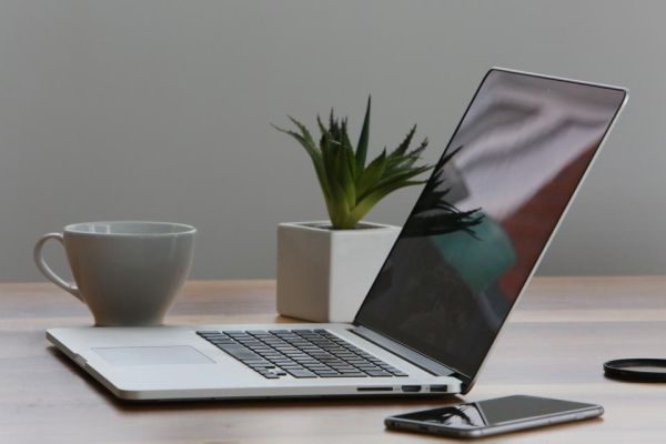 Cây xanh để bàn làm việc trong văn phòng