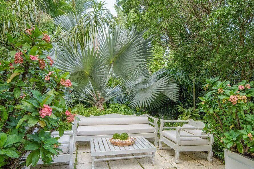 Top 10 Loại Cây Nhiệt Đới Lý Tưởng Cho Sân Vườn Phong Cách Tropical 2 Không gian phủ kín cây nhiệt đới như cọ lá lớn, cây bụi hoa và tán cây xanh mát bao quanh, tạo cảm giác thư giãn giữa thiên nhiên.
