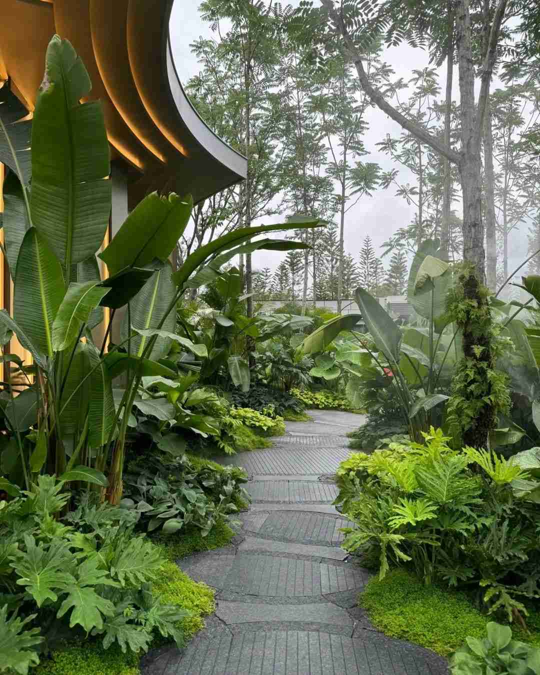 Lối đi uốn lượn giữa vườn cây nhiệt đới rậm rạp và xanh mát