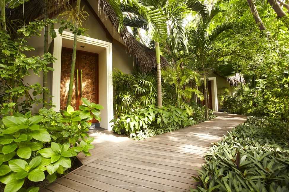 Lối đi gỗ giữa khu vườn nhiệt đới xanh mát với cây lá lớn bao quanh