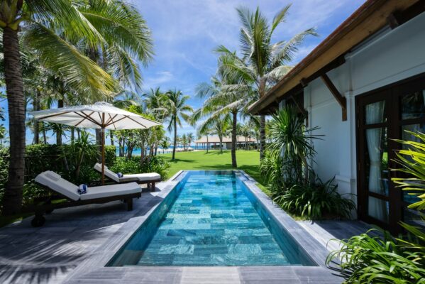 Cây Trồng Quanh Hồ Bơi: 9 Loại Đẹp, Ít Rụng Lá