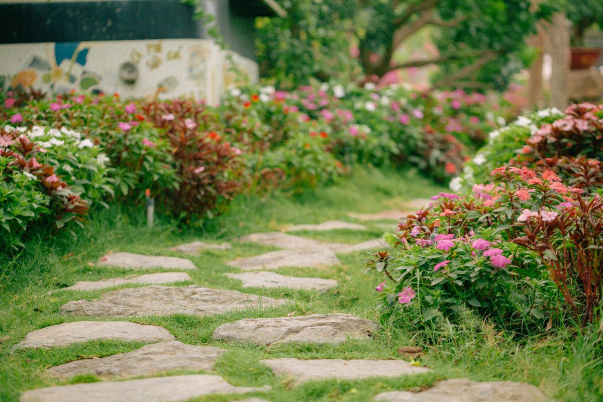 Cây trồng viền lối đi lát đá trong sân vườn xanh mát
