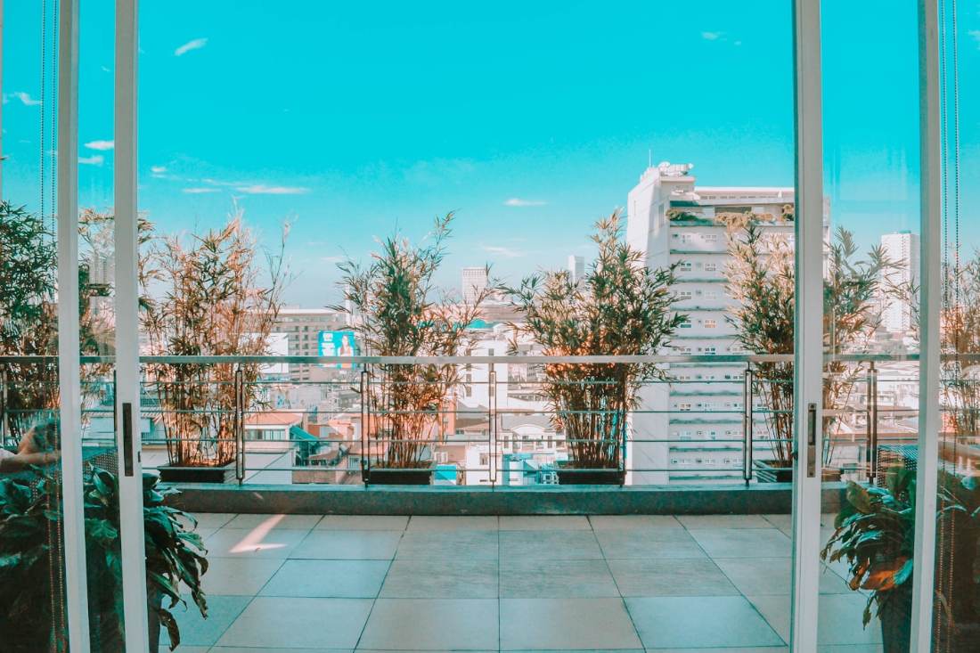 Thiết Kế Cảnh Quan Căn Hộ Penthouse: 7 Ý Tưởng Đẹp Đẳng Cấp 2026 6 Cây xanh chịu gió trong thiết kế cảnh quan penthouse