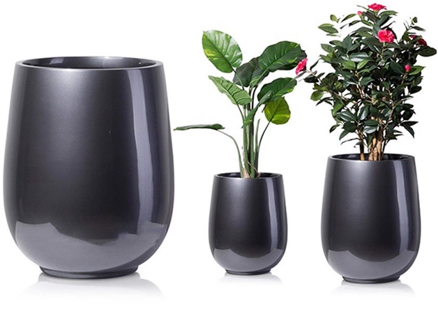 chau composite son den