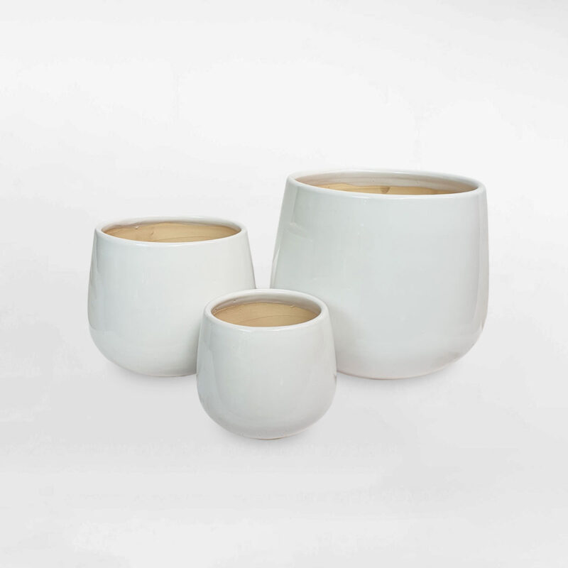 chau su hinh tru trung mau trang 1