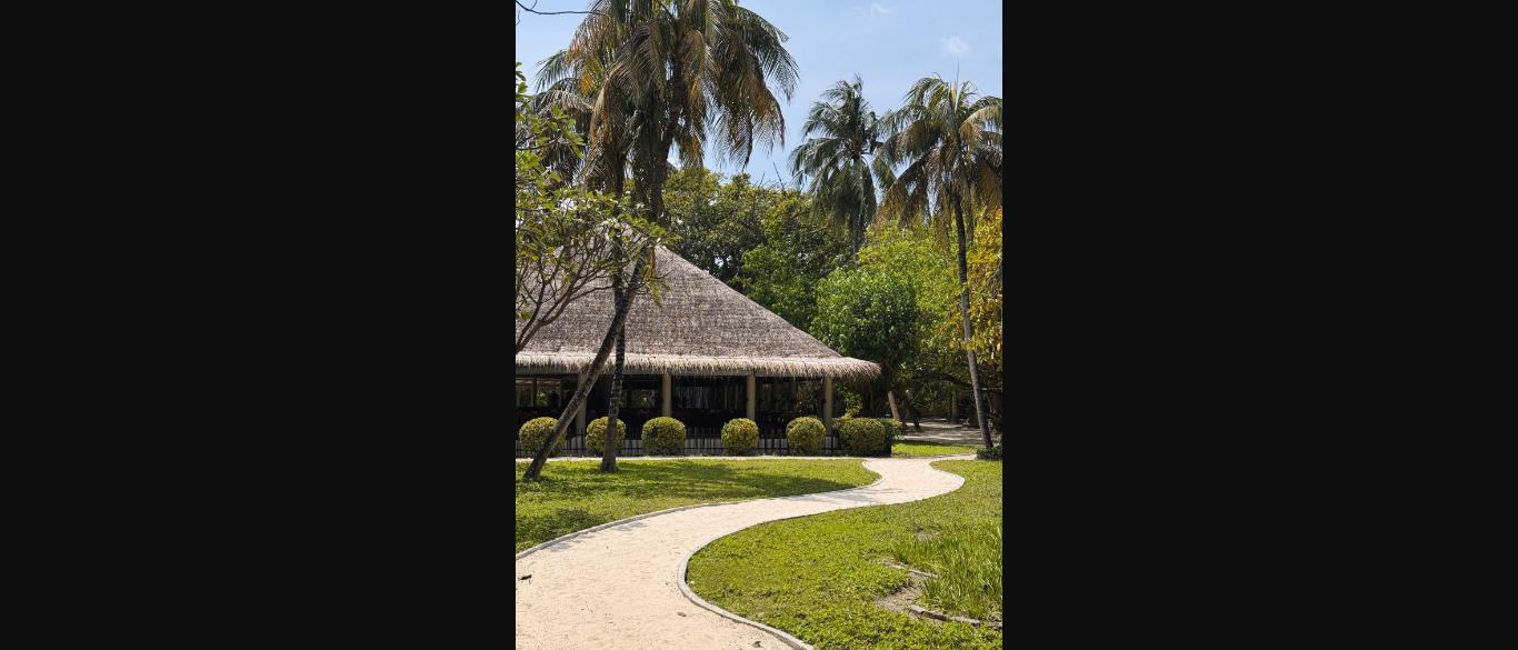 Chòi nghỉ mái lá giữa cây cảnh quan resort nhiệt đới