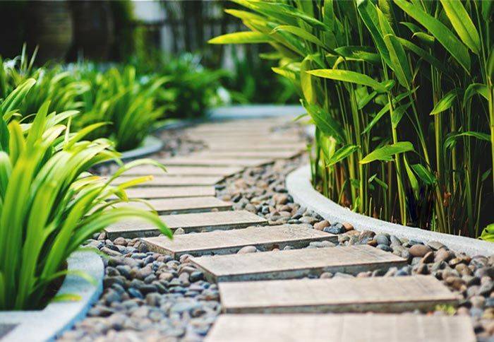 Thiết kế đường dạo sân vườn uốn lượn với đá cuội trang trí và cây lá nhiệt đới