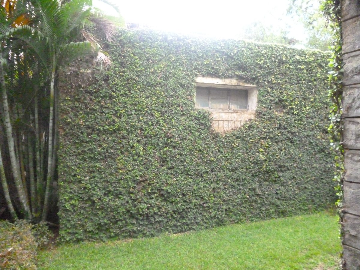 Cảnh quan cho văn phòng với tường cây xanh green wall trang trí sảnh đón