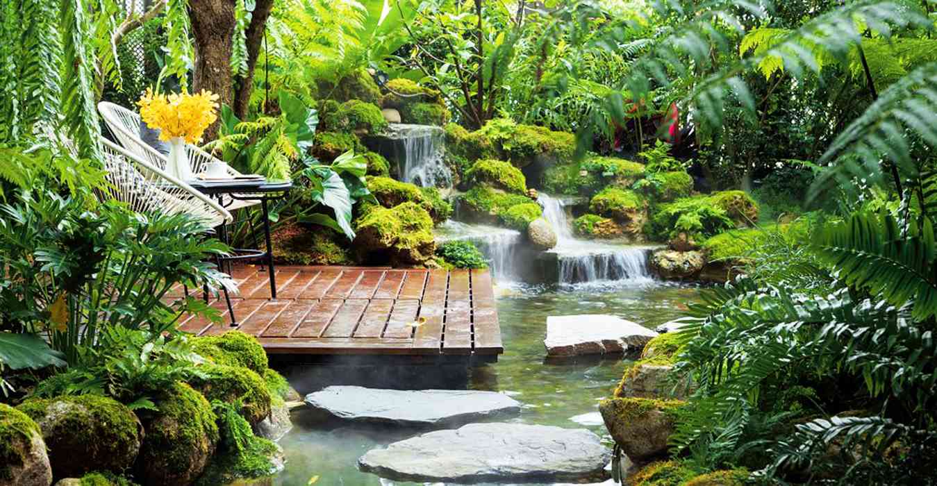 Thiết Kế Hồ Cá Sân Vườn: Linh Hồn Chuyển Động Của Không Gian Ngoài Trời 3 Hồ cá sân vườn với thác nước nhỏ, lối đi lát đá, cây thủy sinh và không gian ngồi thư giãn giữa khung cảnh xanh mướt tự nhiên.
