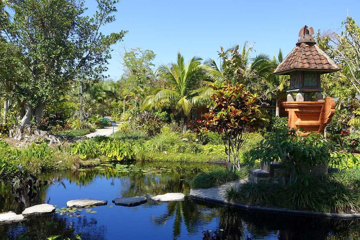 Thiết Kế Sân Vườn Villa Nghỉ Dưỡng: 8 Nguyên Tắc Đẹp Như Resort 2026 2 Hồ cảnh nhiệt đới với bậc đá và cây xanh trong sân vườn villa nghỉ dưỡng