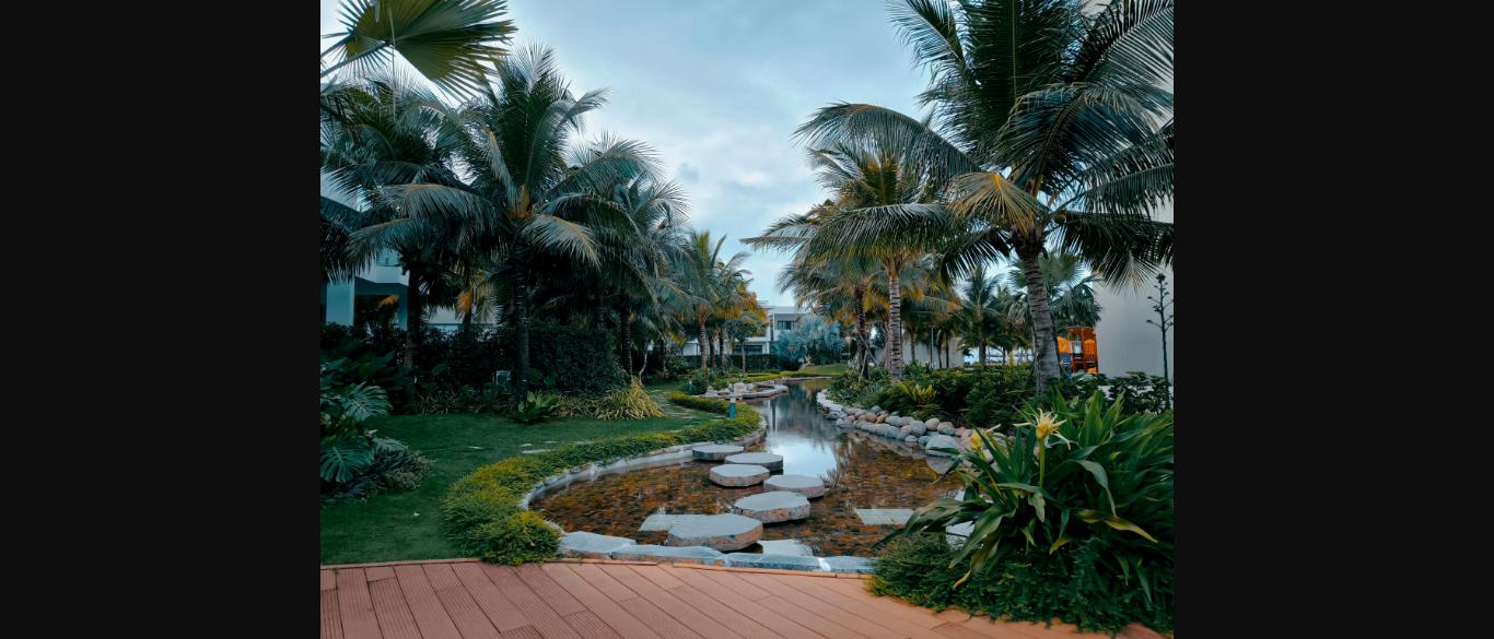 Cây cảnh quan resort phối cùng hồ nước và đá bước tạo điểm nhấn sân vườn