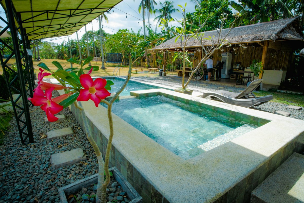 Cây Trồng Quanh Hồ Bơi: 9 Loại Đẹp, Ít Rụng Lá 3 Hoa sứ nở bên hồ bơi trên nền sỏi