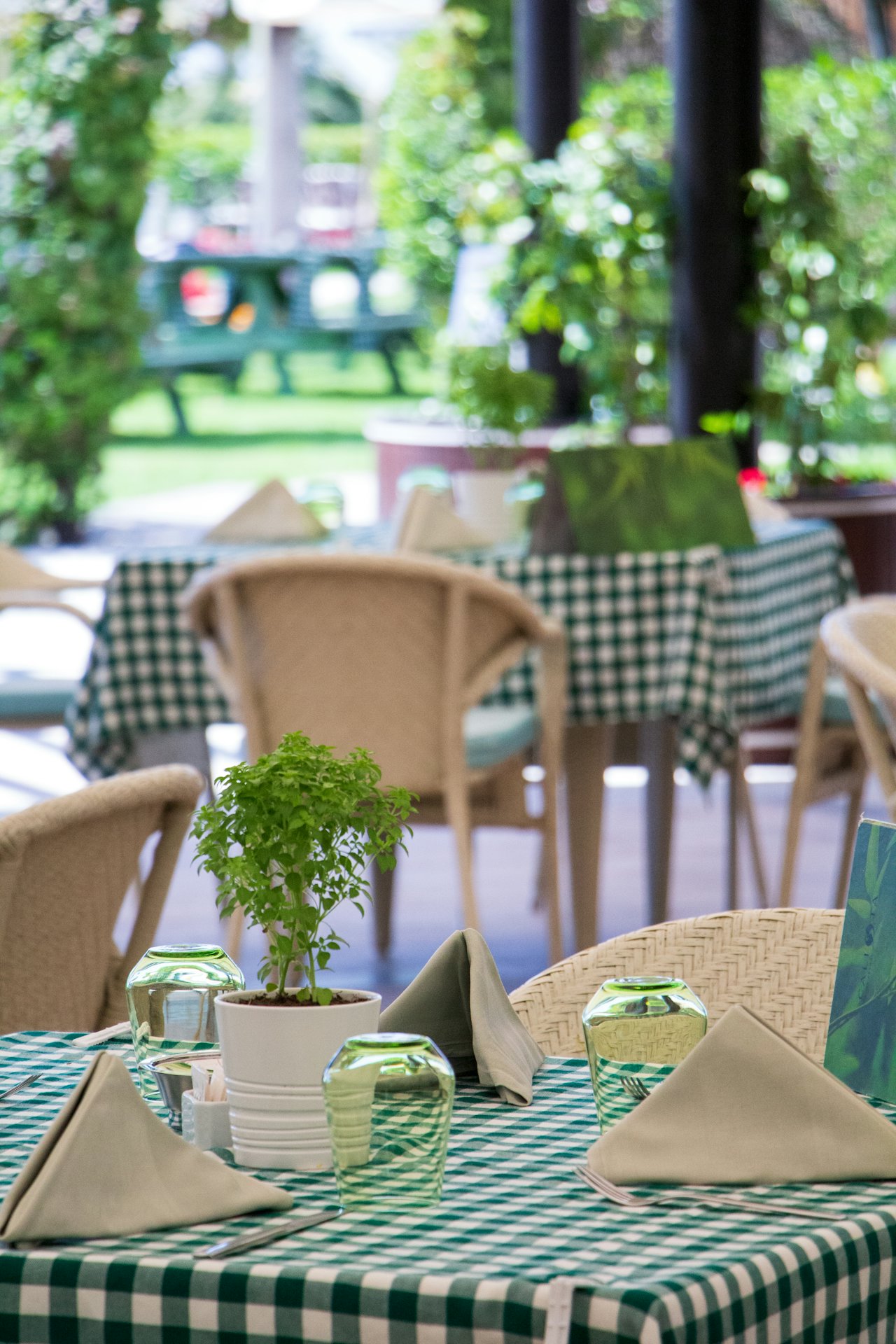 Không gian cafe ngoài trời với cây xanh và bàn ghế gỗ