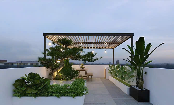 Không gian thiên định trên sân thượng với pergola mái gỗ đèn dây, bàn gỗ nhỏ, cây bonsai lớn, cây lá to trong chậu trắng, sàn đá xám, dưới bầu trời hoàng hôn.