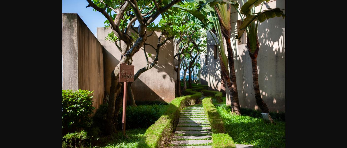 Cây bụi cắt tỉa viền lối đi - chi tiết cây cảnh quan resort tinh tế