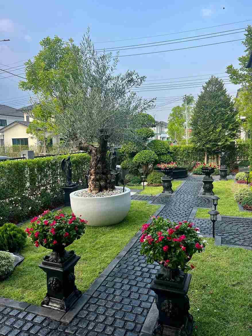 Lối đi sân vườn chống trơn phong cách châu Âu