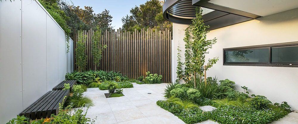Thiết kế cảnh quan Minimalist Garden với gạch sáng màu, cây xanh tối giản và ghế gỗ đen tạo nên không gian yên tĩnh và dễ bảo trì.