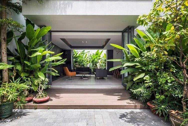 Khám phá nghệ thuật bài trí phong thủy cây xanh trước nhà để đón tài lộc và bình an.