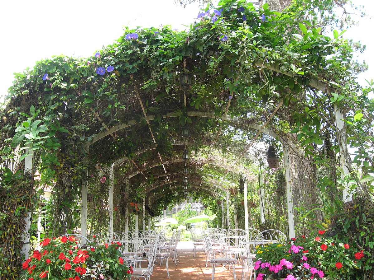 Thiết Kế Sân Vườn Villa Nghỉ Dưỡng: 8 Nguyên Tắc Đẹp Như Resort 2026 4 Pergola hoa leo tạo lối đi bóng mát trong sân vườn resort Đà Lạt