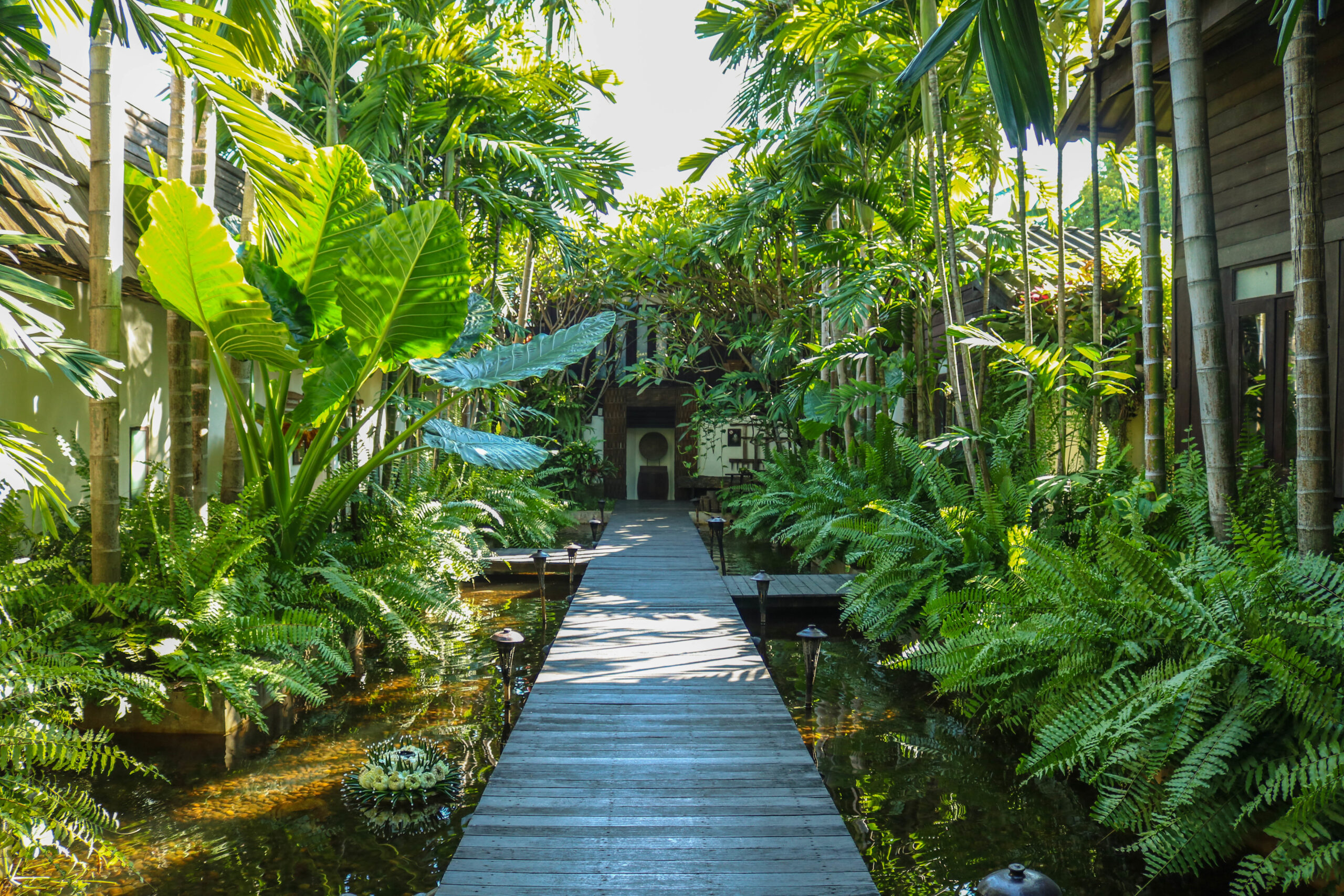 Vì Sao Giới Thượng Lưu Ưa Chuộng Thiết Kế Cảnh Quan Tropical? 2 Lối đi bằng gỗ giữa cảnh quan tropical xanh tươi