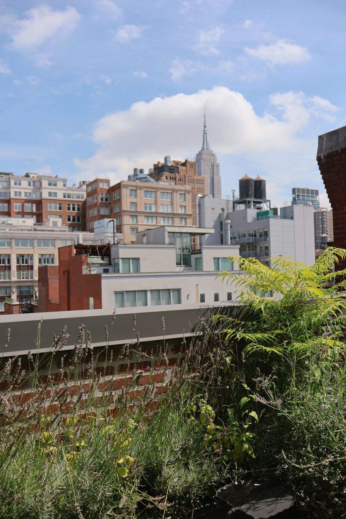 Rooftop garden công cộng trên cao với lối đi và cây xanh