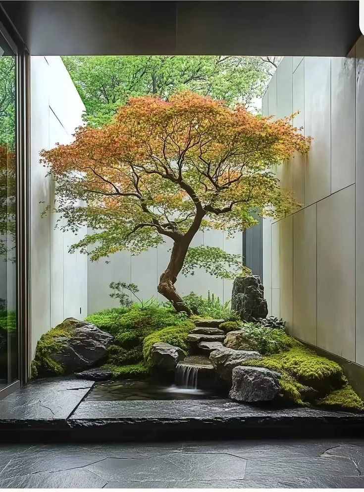 Tiểu cảnh sân vườn biệt thự với cây phong lá đỏ