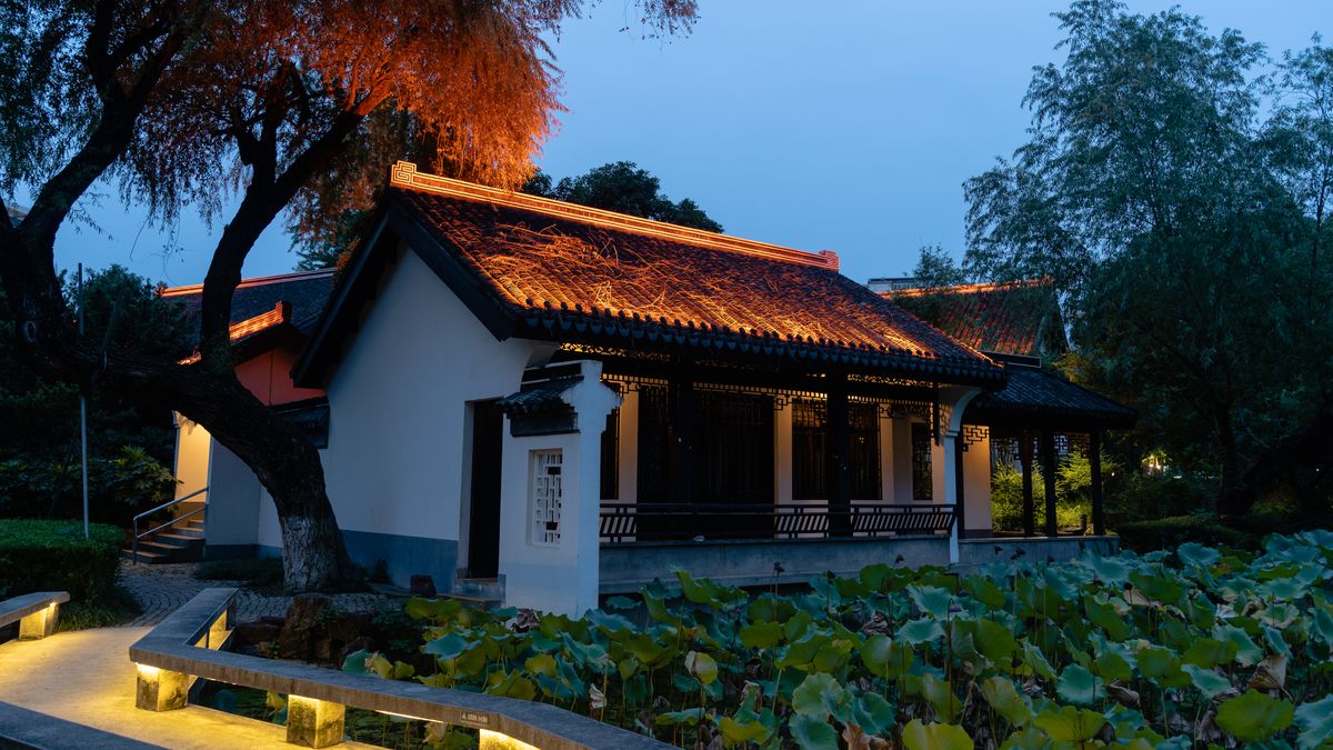Chiếu Sáng Hồ Cá Koi: 5 Nguyên Tắc Đẹp Và An Toàn Cho Cá 4 Sân vườn có hồ sen được chiếu sáng lúc chạng vạng