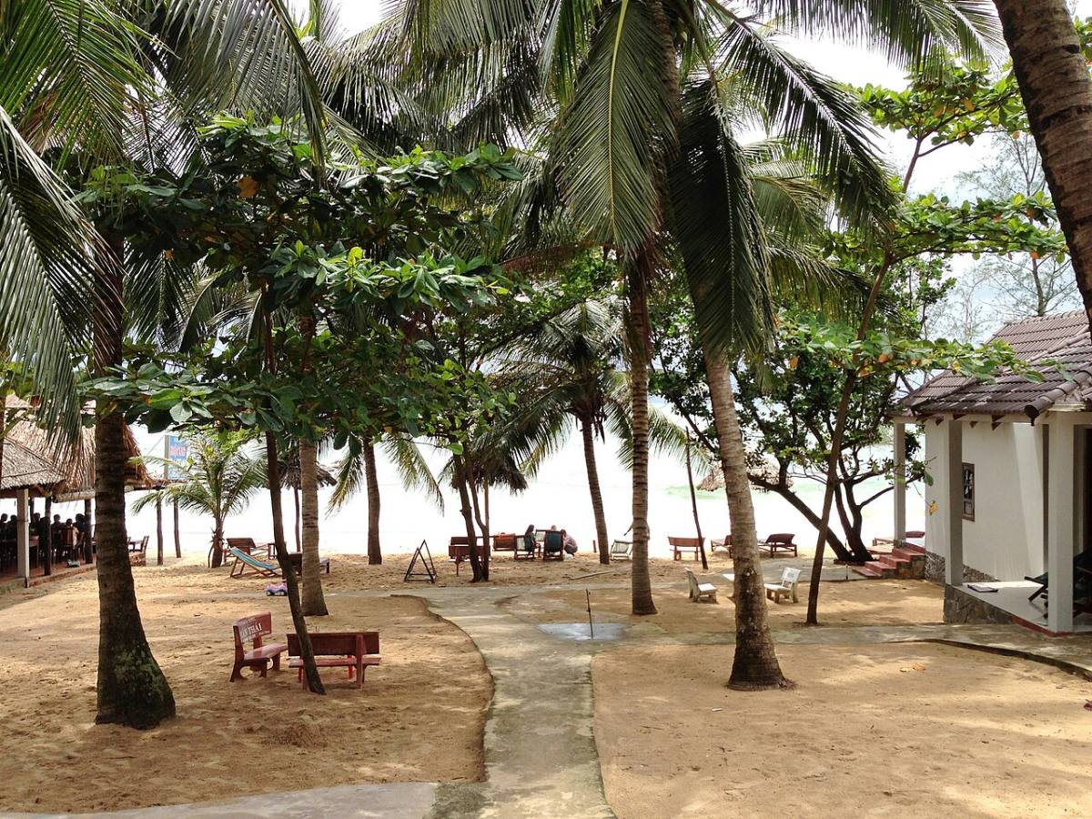 Sân vườn resort rợp bóng dừa tại Phú Quốc
