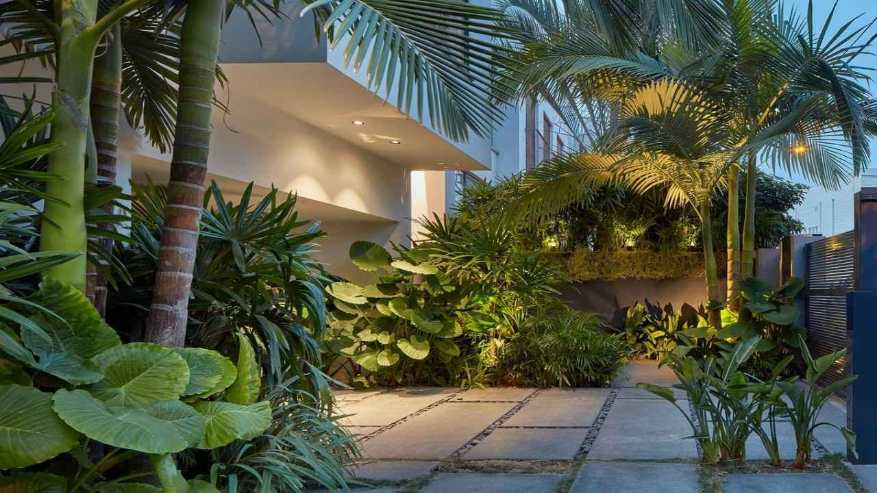 Lối vào sân vườn tropical với cây lớn và ánh sáng tạo điểm nhấn