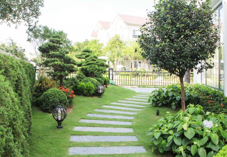 Thi Công Cảnh Quan Mất Bao Lâu? Hiểu Để Chủ Động Kế Hoạch 4 Lối đi lát đá giữa vườn biệt thự xanh mát với cây bụi và đèn chiếu sáng