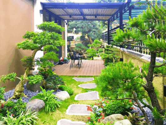 Thiết kế sân vườn biệt thự