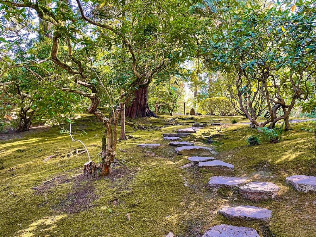 Tiểu cảnh vườn rêu và lối đi đá phong cách Nhật cho nhà phố