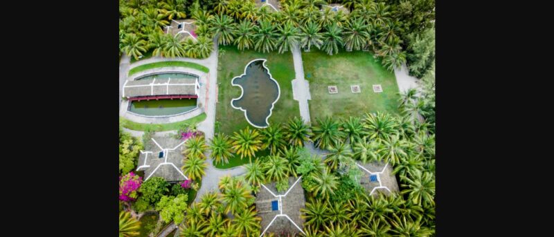 Cây Cảnh Quan Resort: Bí Quyết Kiến Tạo Không Gian Nghỉ Dưỡng Đẳng Cấp