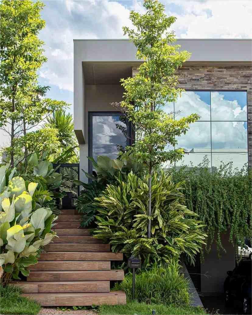 Tối ưu sân vườn nhỏ trước nhà bằng cây tầng thấp