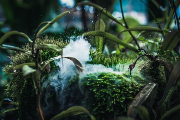 Tưới Phun Sương Sân Vườn: Nguyên Lý, Chi Phí Và 6 Bước Lắp Đặt 2026