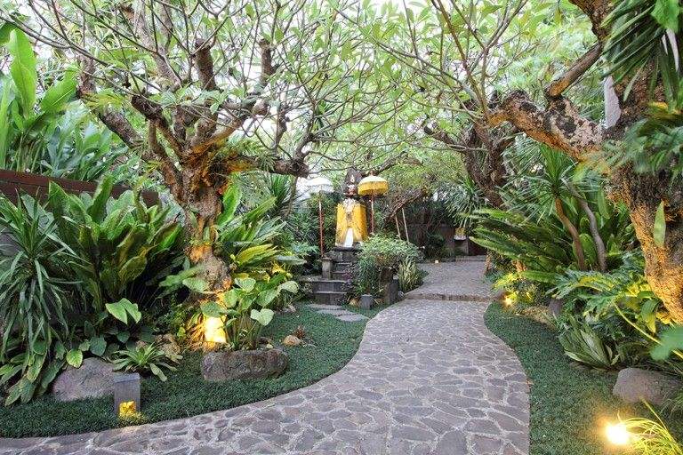 Lối đi lát đá sân vườn dưới tán cây plumeria và ánh sáng âm đất dịu nhẹ