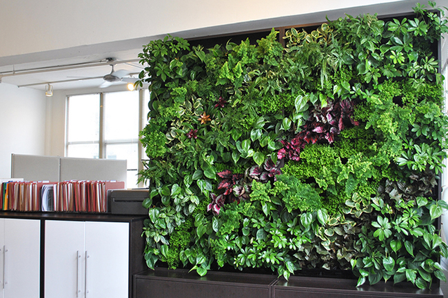 vat lieu lam vuon tuong dung 01 rs650